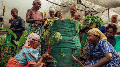 Procure natural climate solution carbon credits