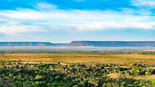 Restore degraded pastures in Brazil