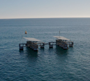 Deploy high wave-resilient offshore floating solar