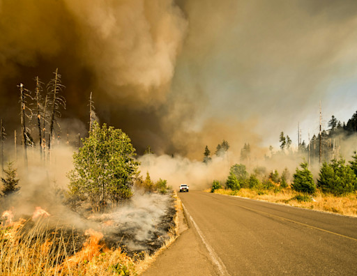 Adapt to wildfire risks with nature-based solutions