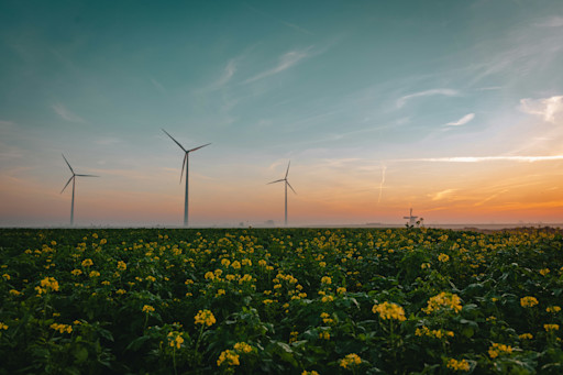 Accelerate transition to 100% renewable energy