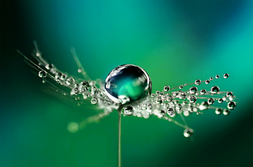 Reduce Carbon Footprints of Aroma Ingredients