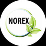 Norex Flavours Private Limited 