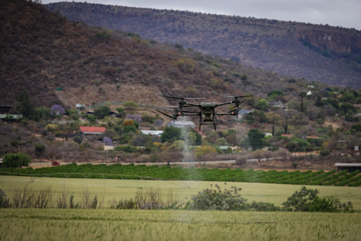 Restore burnt forest with drone seeding and local labour