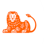 ING Türkiye