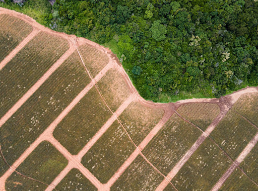 Map and prioritize nature risk in a credit portfolio