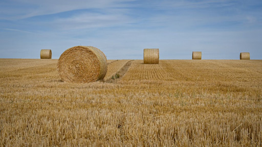 Turn barley straw into new circular value