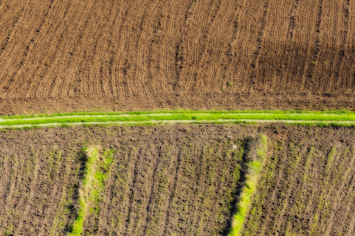 Build climate resilience through regenerative agriculture